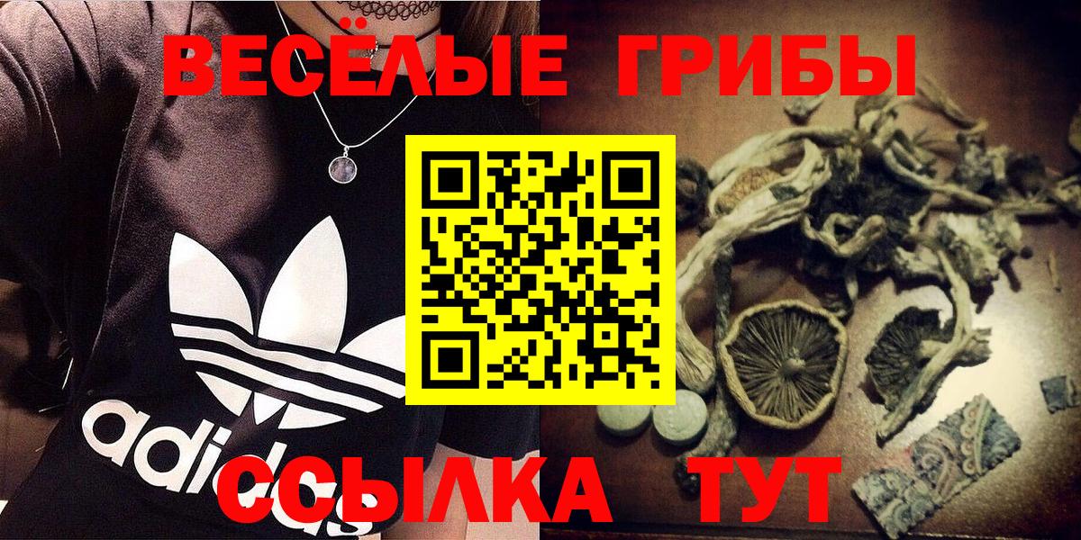 Псилоцибиновые грибы мухоморы Кудымкар